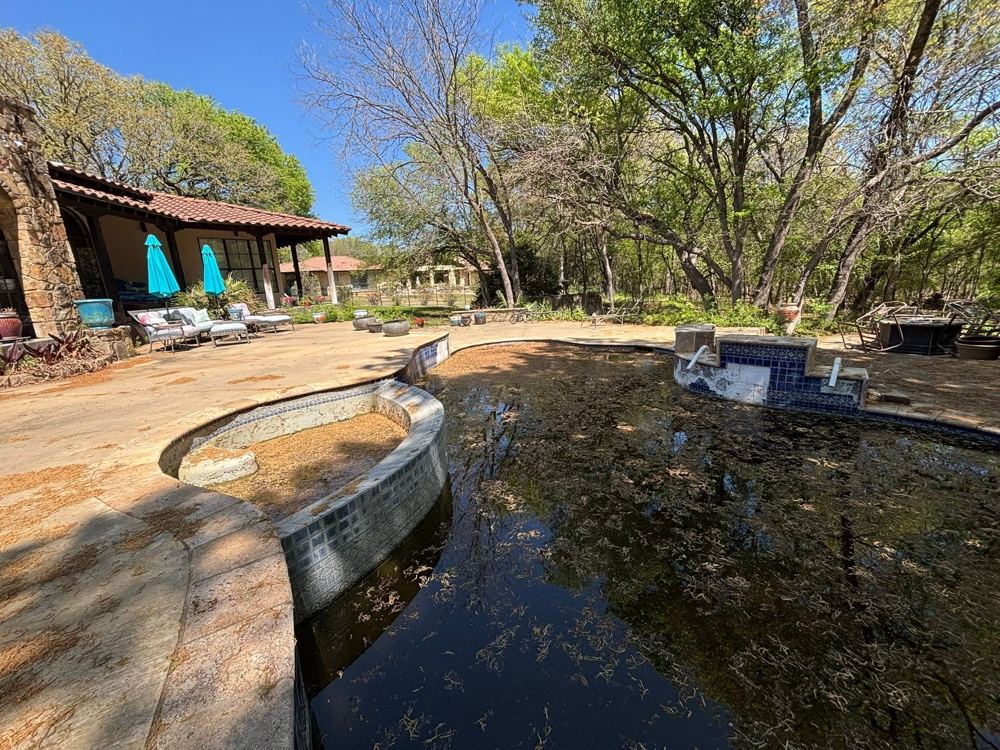 Neglected green pool before MoJo Pool Cleaning's clean-up service